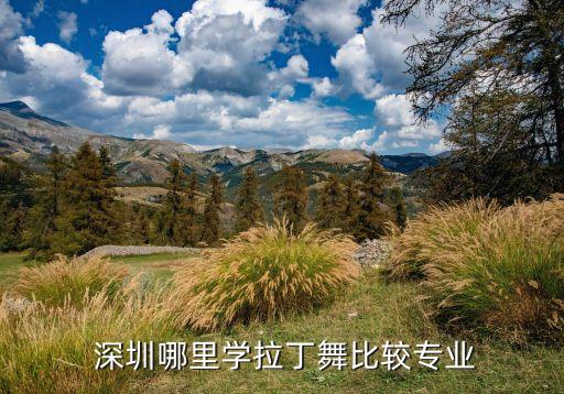 深圳最好的舞蹈培訓(xùn),深圳kpop舞蹈培訓(xùn)...
